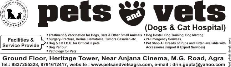 pets and vets pet hospital